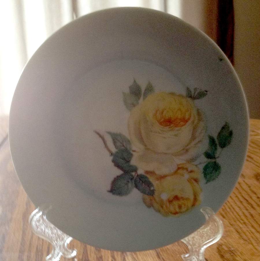 SCR242 Bread & Butter Plate by Scherzer-1