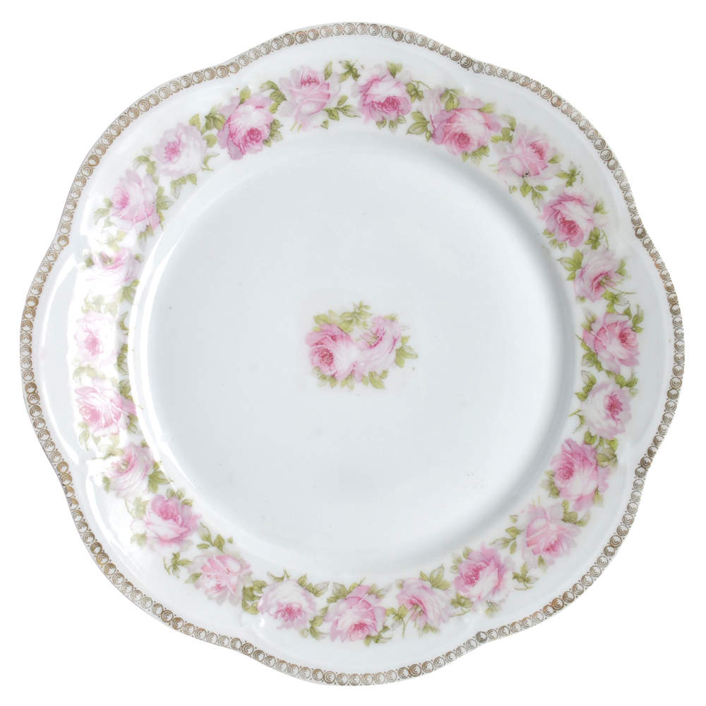 SCR253 Dinner Plate by Scherzer-1