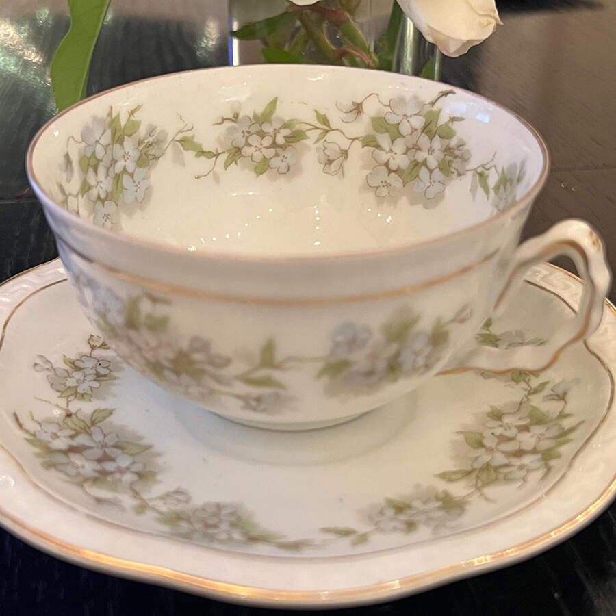 ZSC168 Flat Cup & Saucer Set by Z S & Co (Scherzer)-1