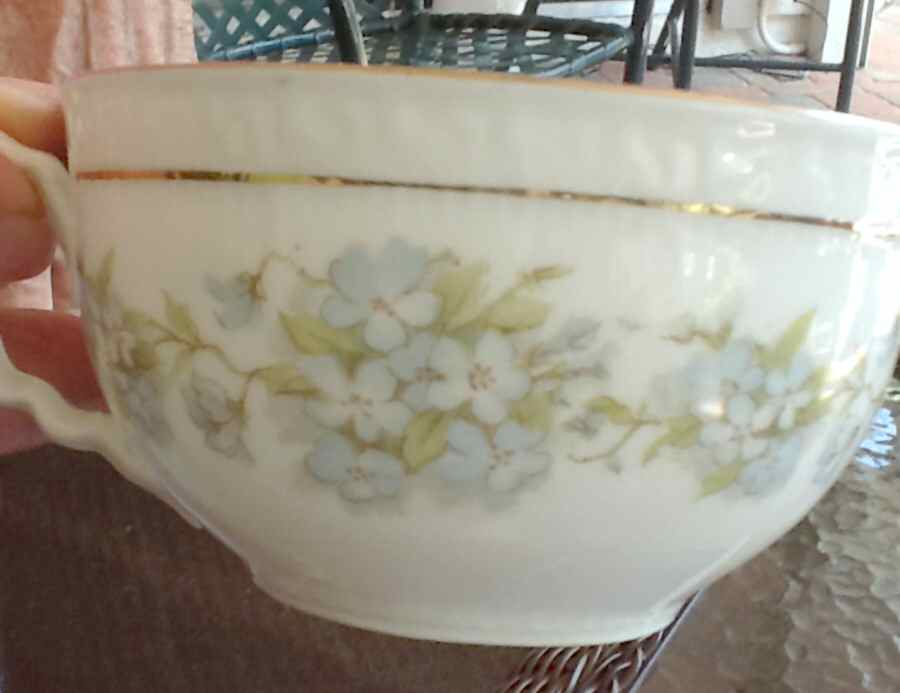 ZSC168 Flat Cup by Z S & Co (Scherzer)-1