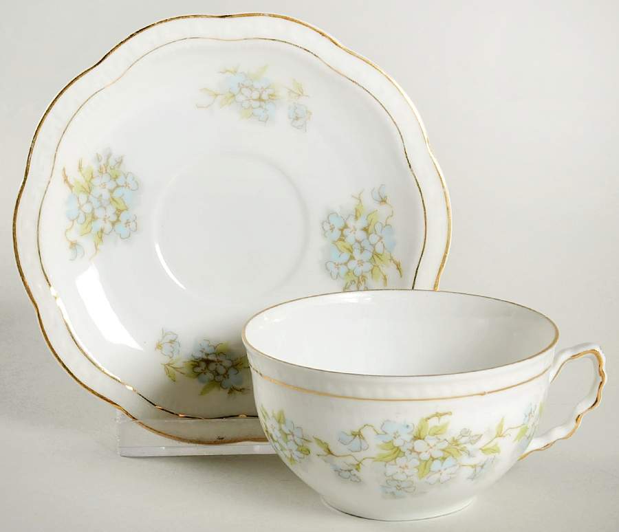 ZSC168 Flat Cup & Saucer Set by Z S & Co (Scherzer)-1