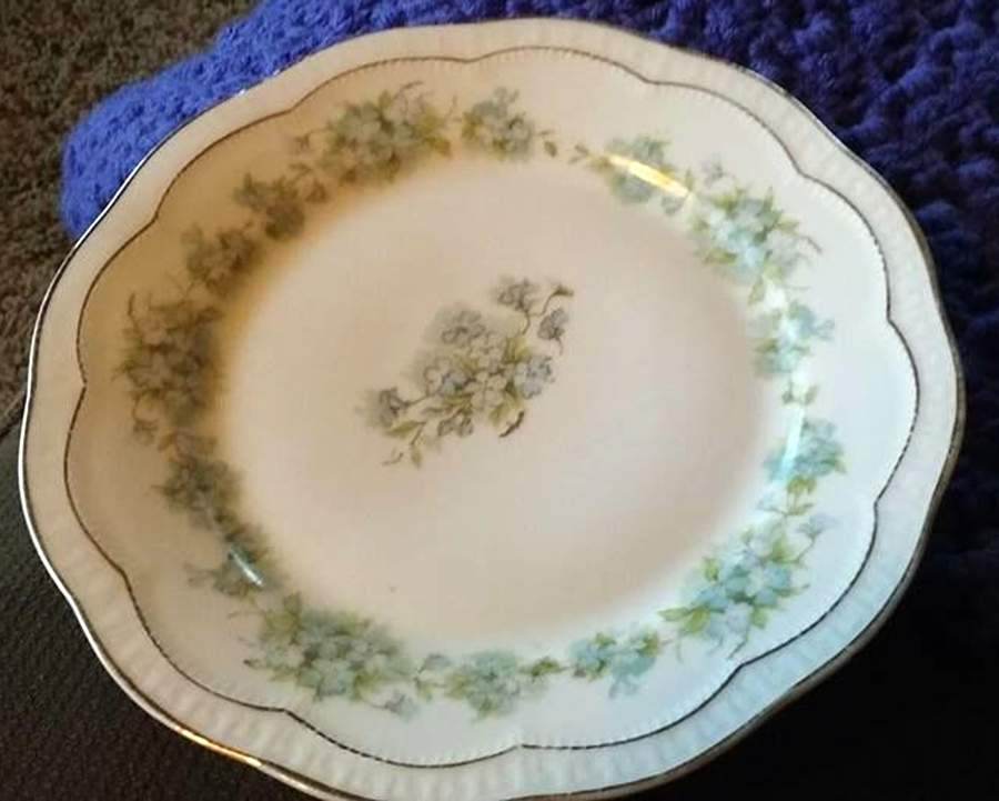 ZSC168 Bread & Butter Plate by Z S & Co (Scherzer)-1