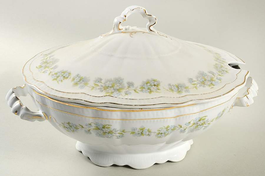 ZSC168 Oval Tureen & Lid by Z S & Co (Scherzer)-1
