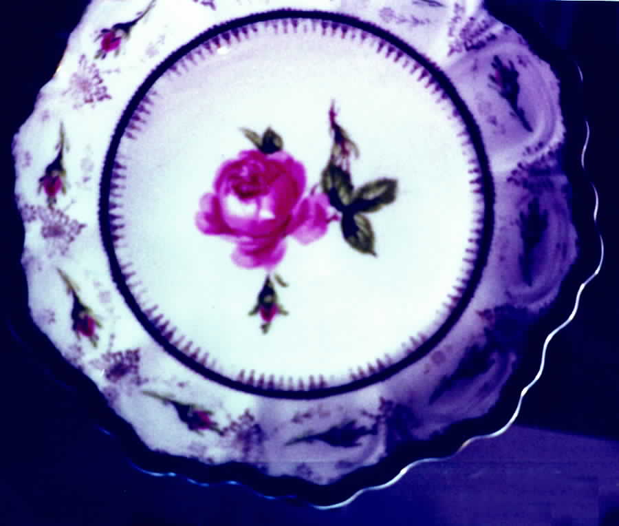 5792 Dinner Plate by Scherzer-1
