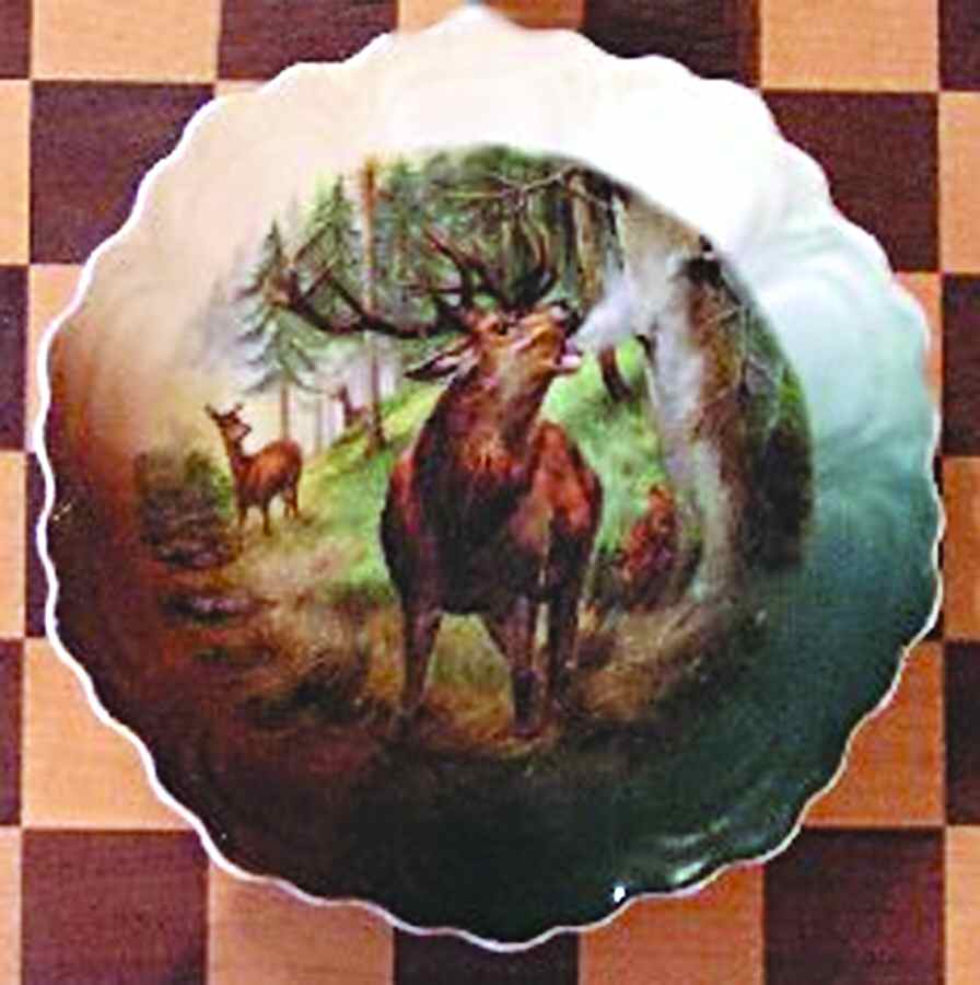 SCR226-1 Dinner Plate by Scherzer-1