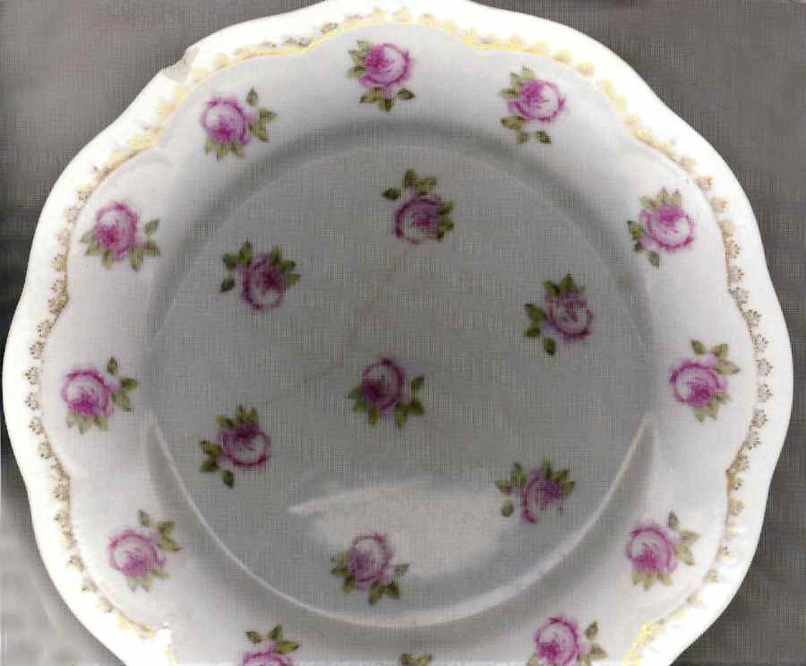 SCR331 Dinner Plate by Scherzer-1