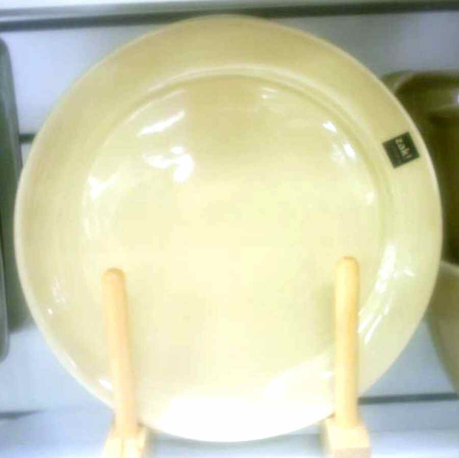 ZAD1 Dinner Plate by Zak Designs-1