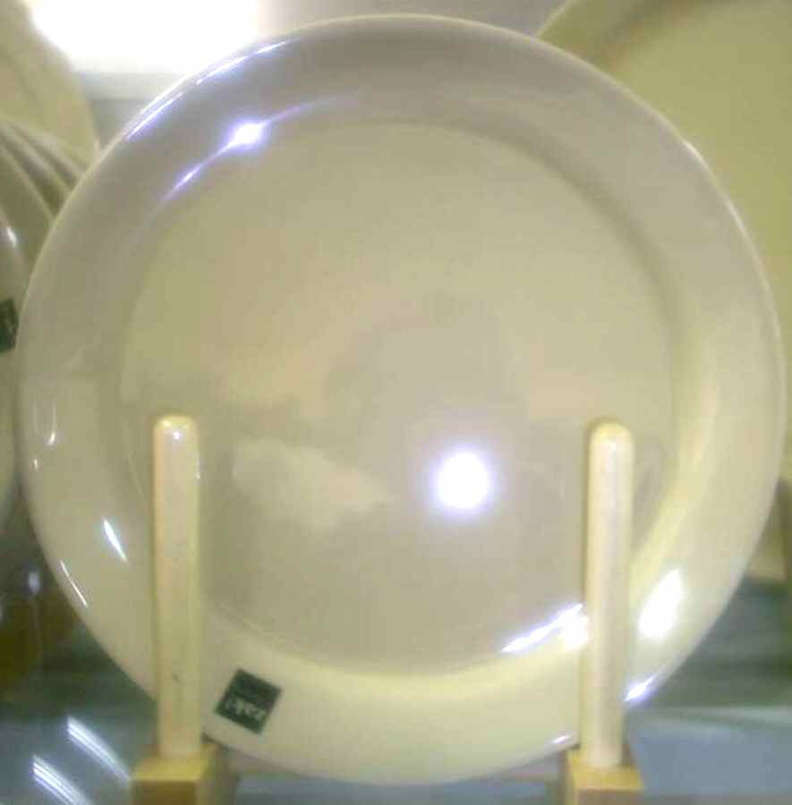 ZAD2 Dinner Plate by Zak Designs-1