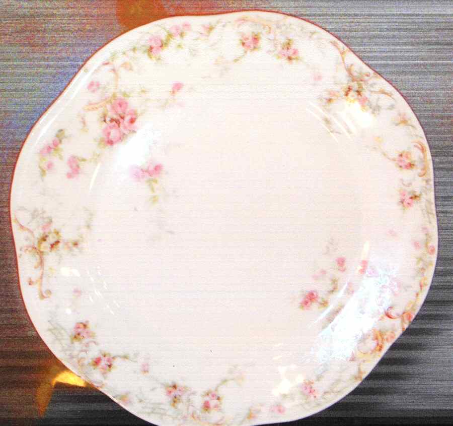 SCR240-1 Dinner Plate by Scherzer-1