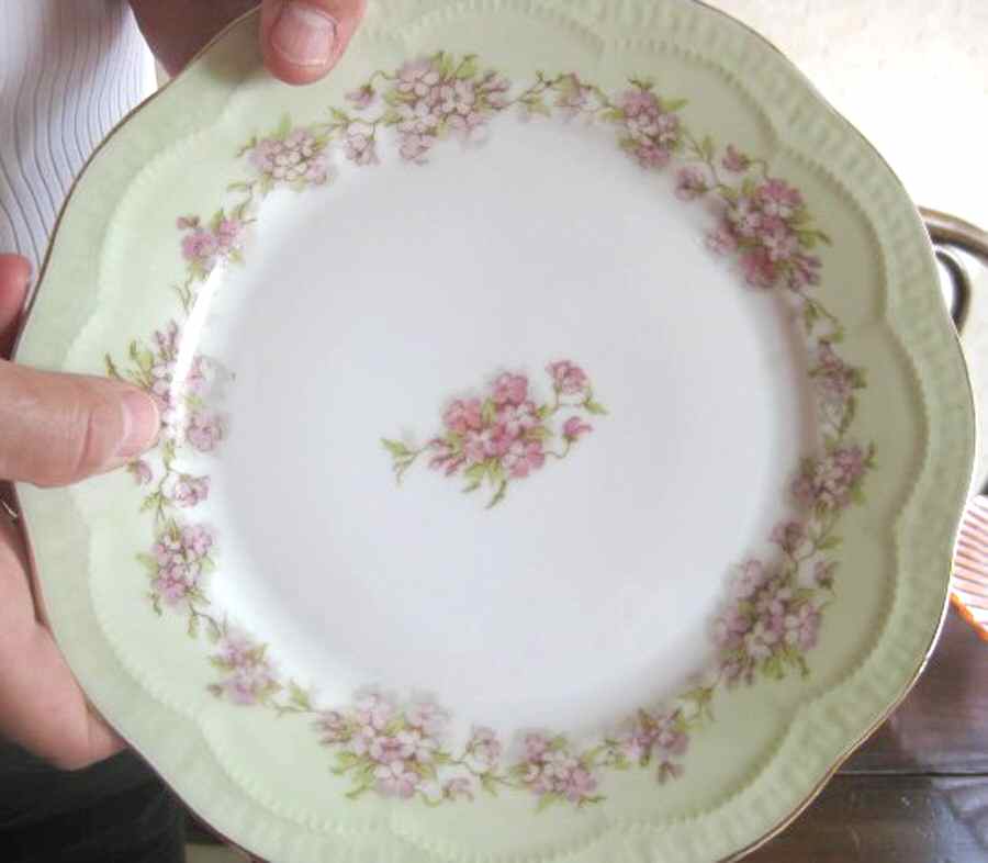 SCR354 Dinner Plate by Scherzer-1
