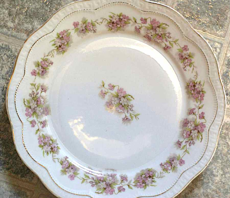 SCR360 Dinner Plate by Scherzer-1
