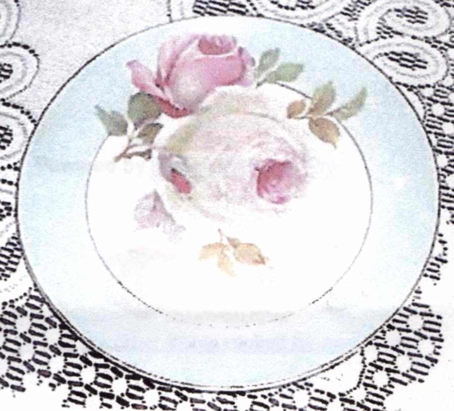 SCR364 Salad Plate by Scherzer-1