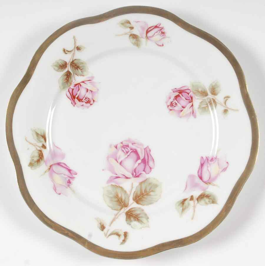 SCR385 Dinner Plate by Scherzer-1