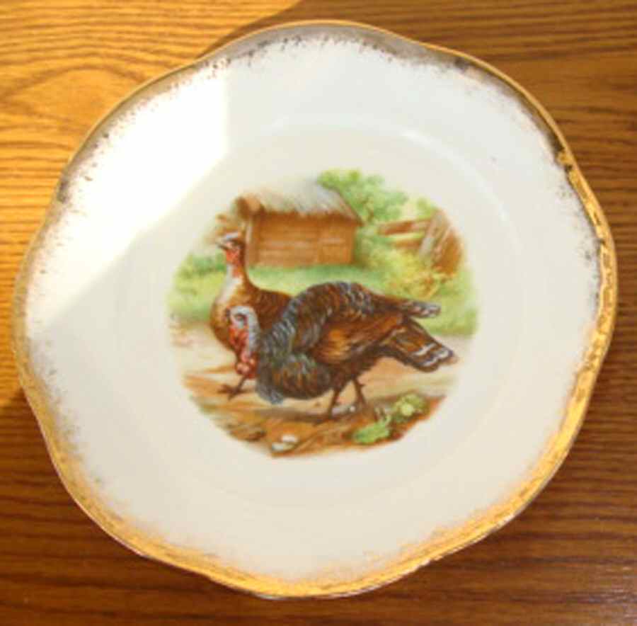 SCR209-1 Dinner Plate by Scherzer-1