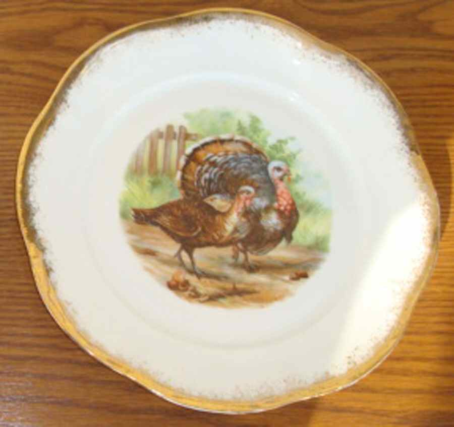 SCR209-1 Dinner Plate by Scherzer-1