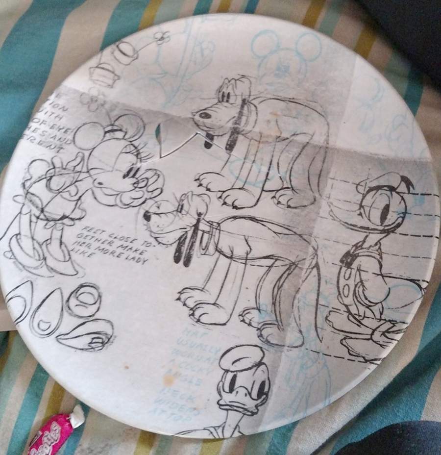 02061 Dinner Plate by Zak Designs-1
