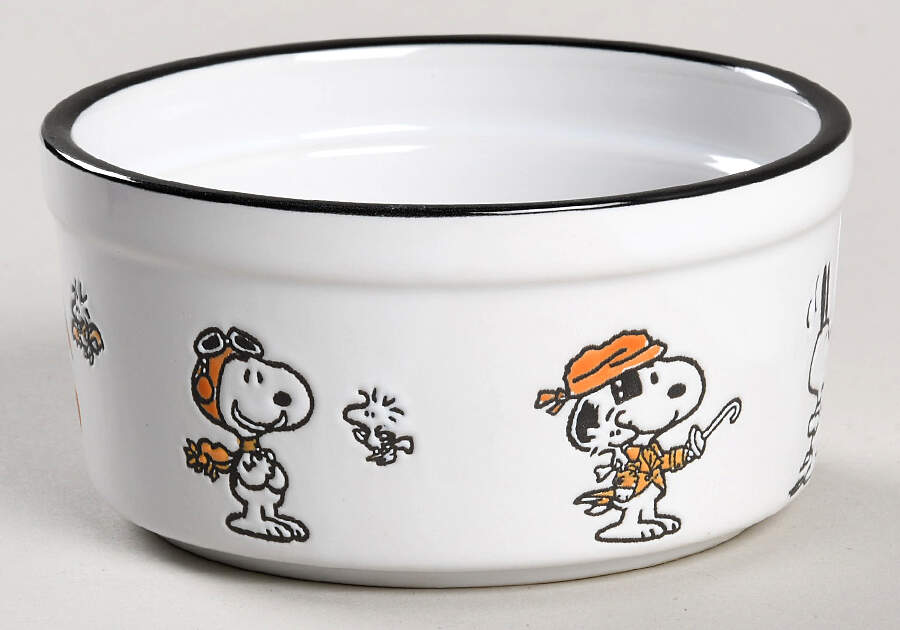 Peanuts Halloween Ramekin by Zrike-1