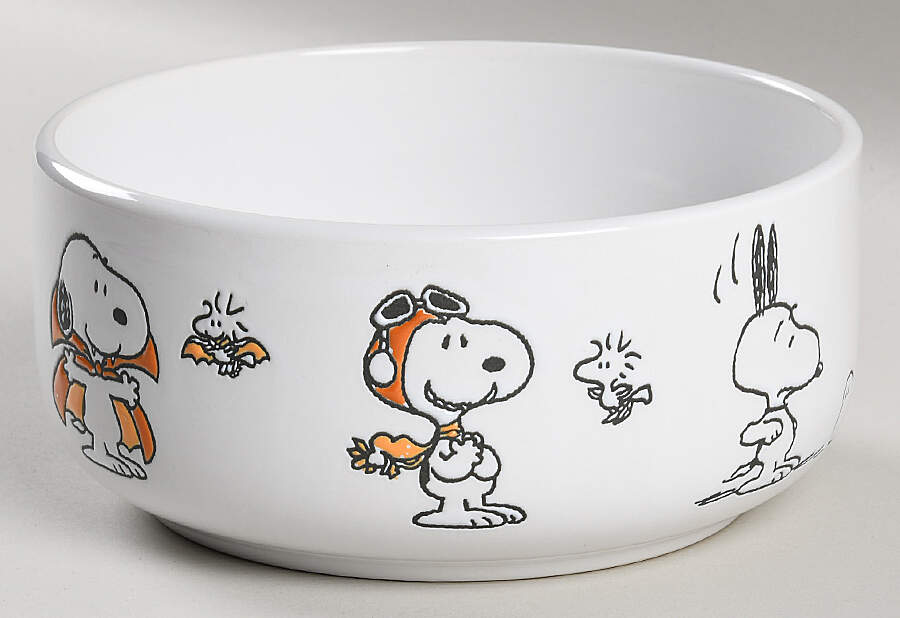 Peanuts Halloween 26 Oz Round Plastic Microwave Bowl No Vented Lid by Zrike-1