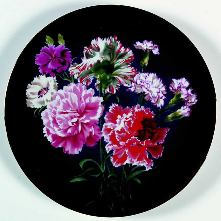 Flowers Of Count Bernadotte Carnation - No Box by Anna Perenna-1