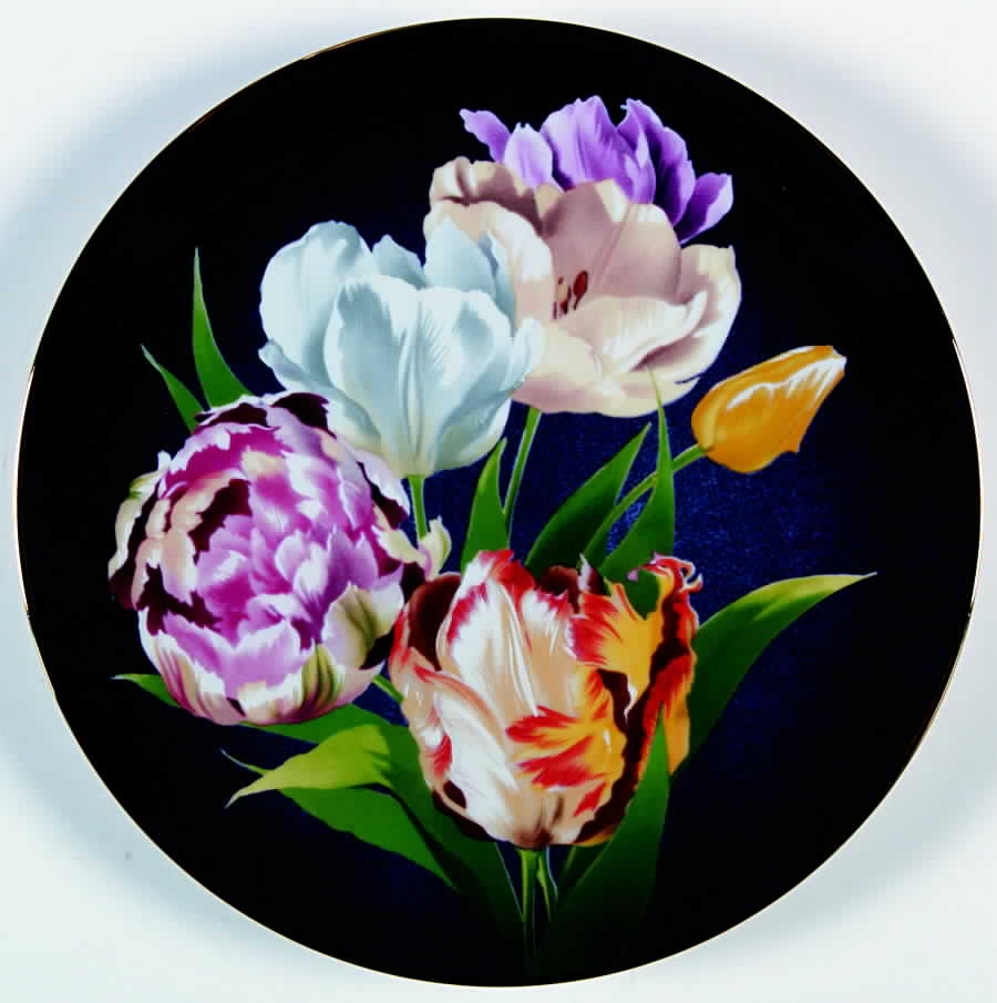 Flowers Of Count Bernadotte Tulip - Boxed by Anna Perenna-1