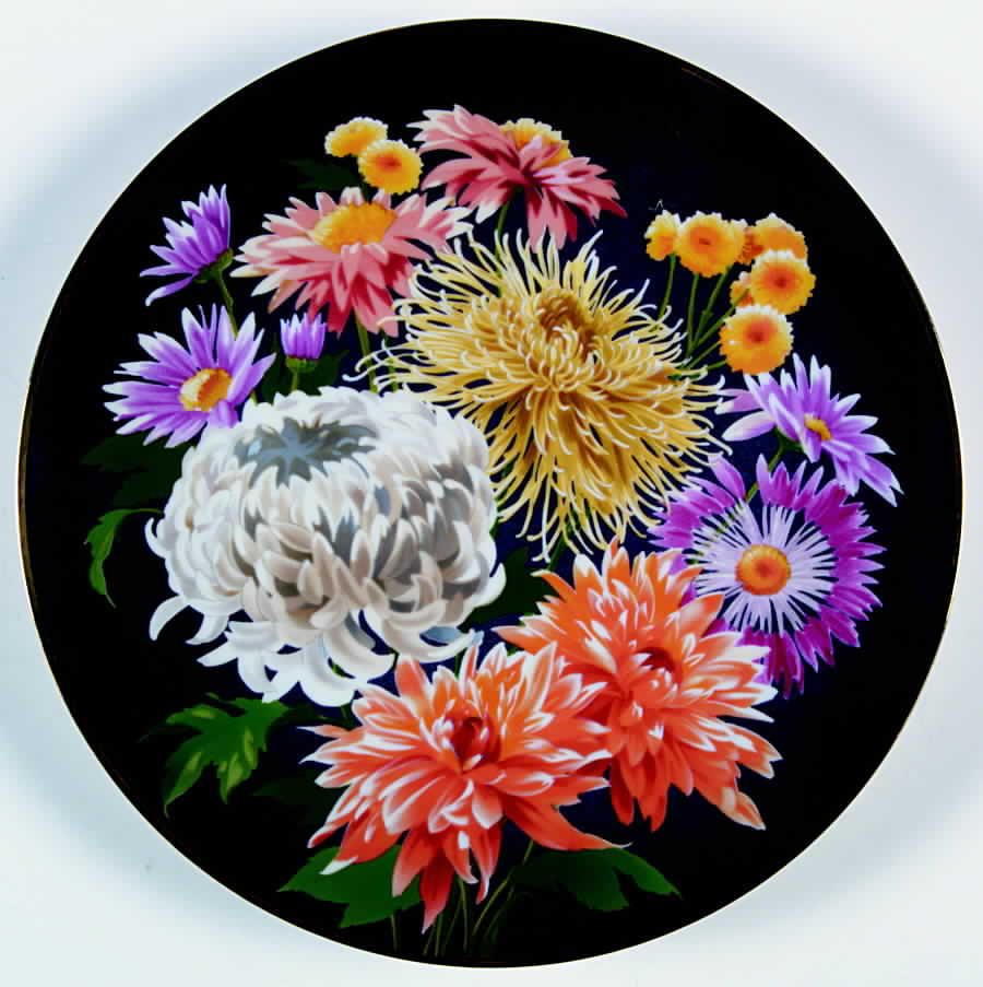 Flowers Of Count Bernadotte Chrysanthemum - Boxed by Anna Perenna-1