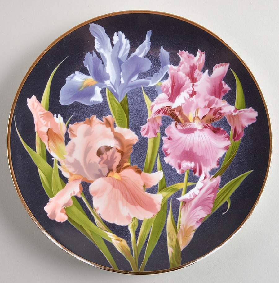 Flowers Of Count Bernadotte Iris - With Box by Anna Perenna-1