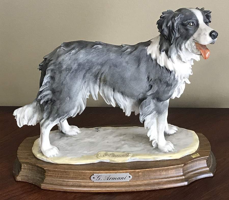 Dogs Border Collie - Boxed by Armani-1