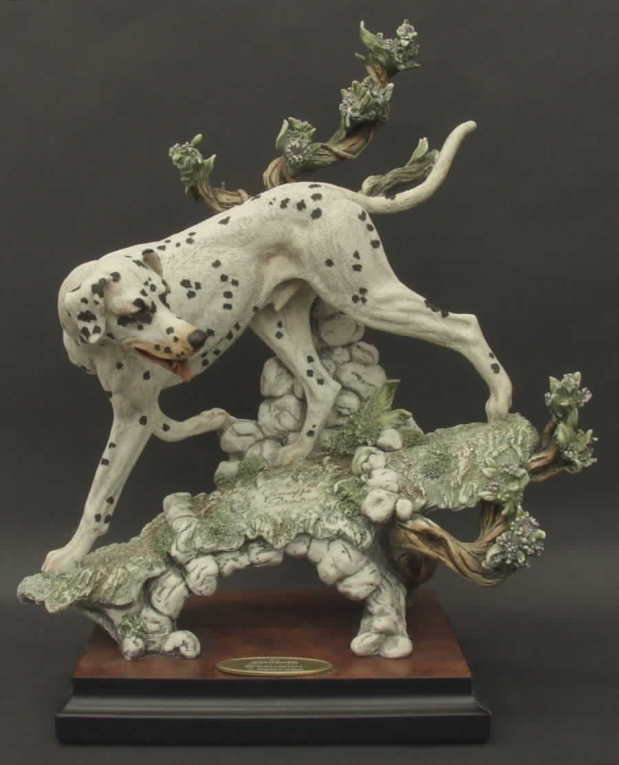 Dogs Dalmatian - Boxed by Armani-1