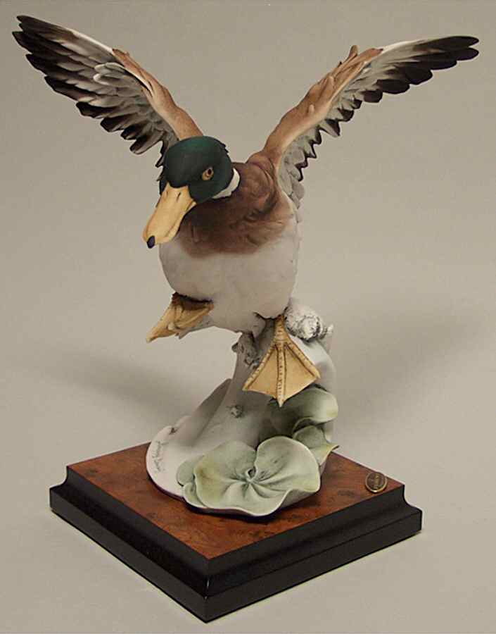 Birds Duck Glide - Boxed by Armani-1