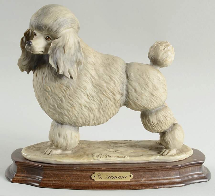 Dogs French Poodle - No Box by Armani-1