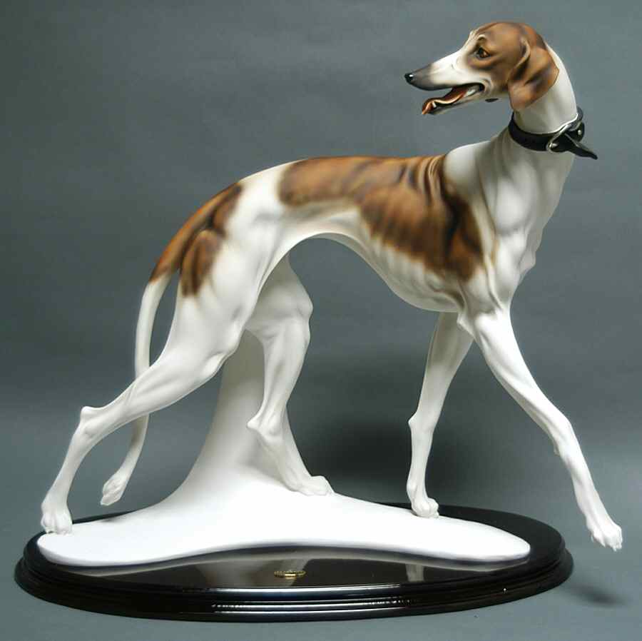 Dogs Ready To Run - No Box by Armani-1
