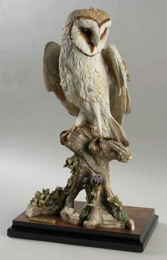 Owls Night Vigil - No Box by Armani-1