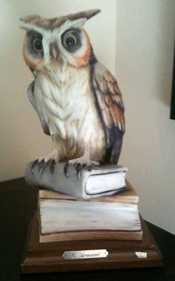 Owls Wise Owl - No Box by Armani-1