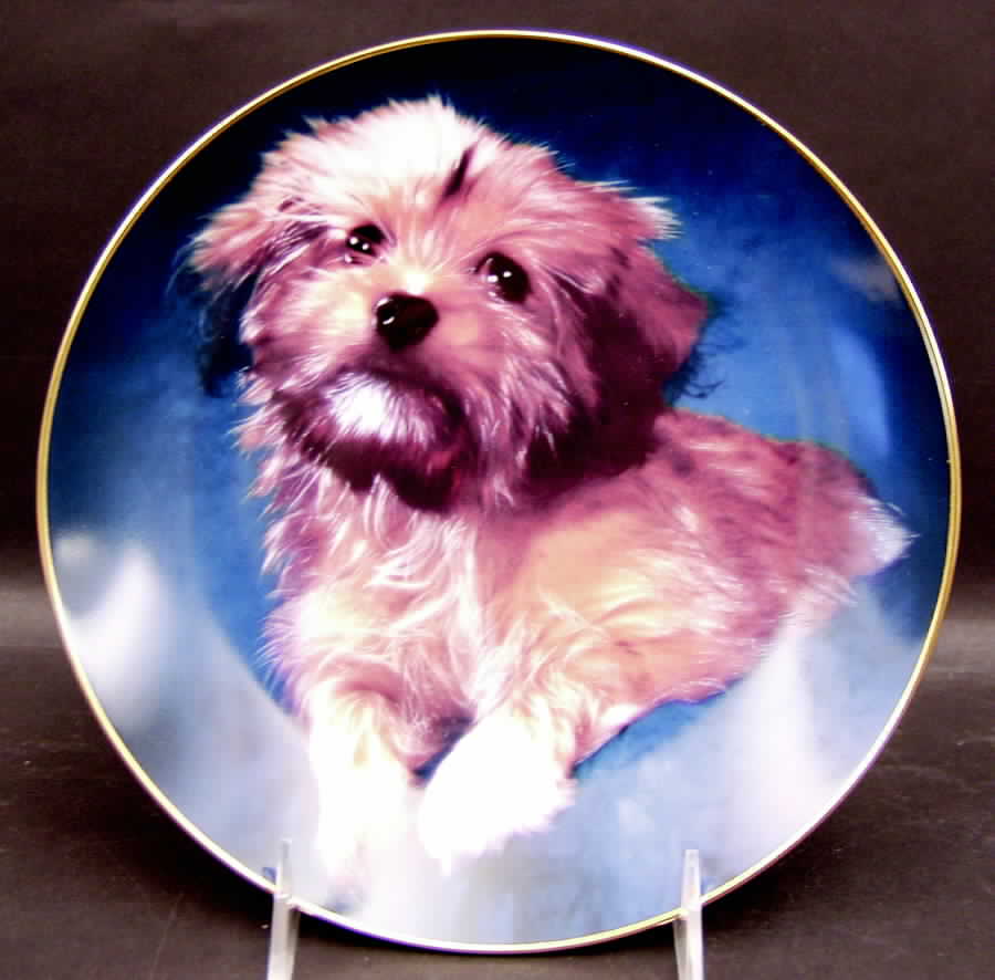 Huggable Puppies Oh How Cute - Boxed by Armstrong-1