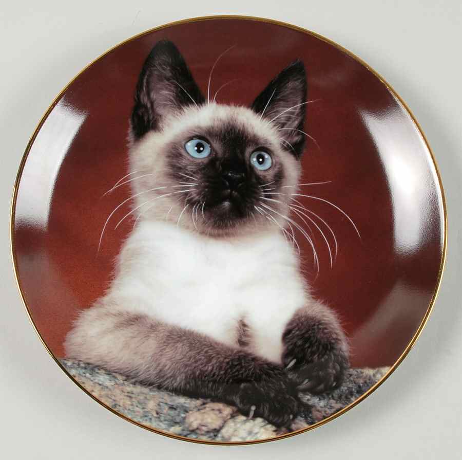 Lovable Kittens Prince Of Purrs - Boxed by Armstrong-1