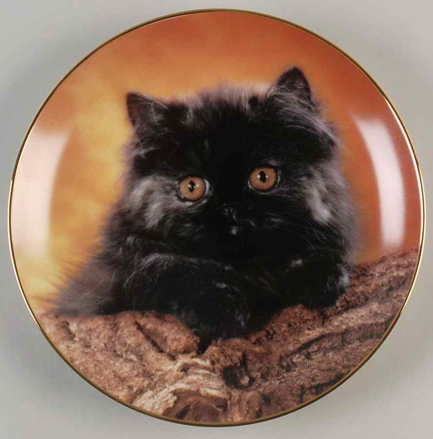 Lovable Kittens Pet, And I'Ll Purr - Boxed by Armstrong-1