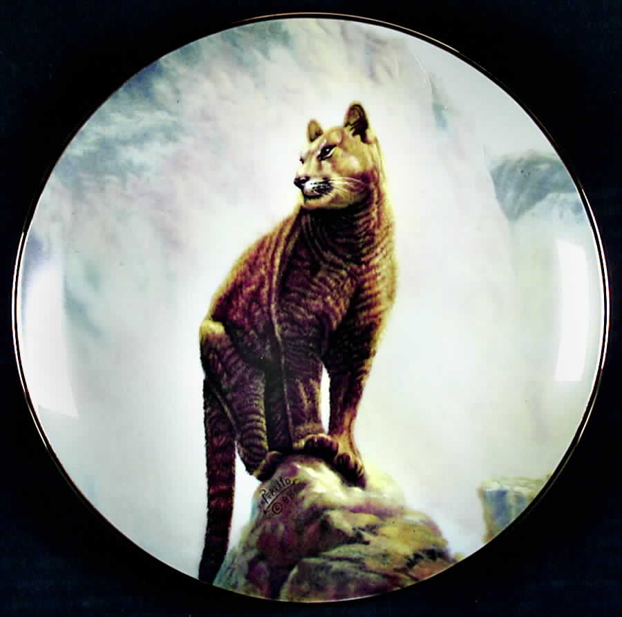 North American Wildlife Mountain Lion - Boxed by Artaffects-1