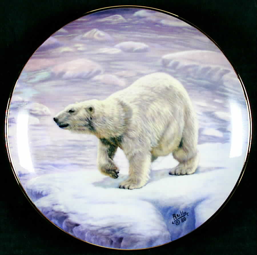 North American Wildlife Polar Bear - Boxed by Artaffects-1