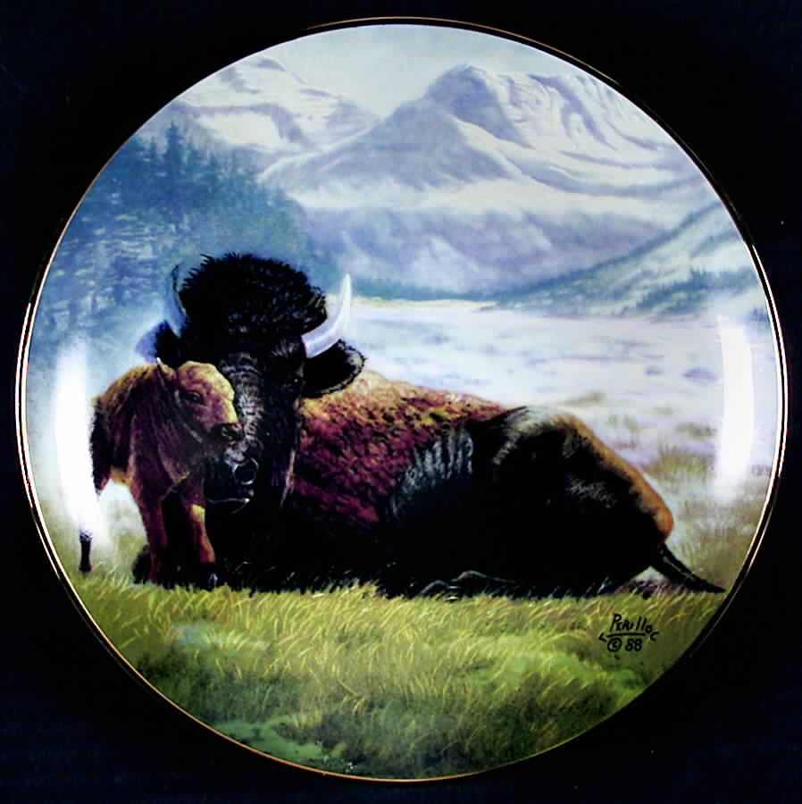 North American Wildlife Buffalo - Boxed by Artaffects-1