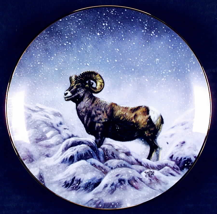 North American Wildlife Bighorn Sheep - Boxed by Artaffects-1