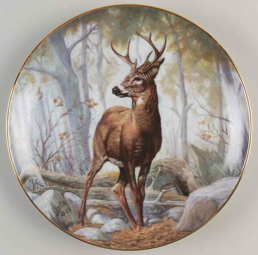 North American Wildlife White-Tailed Deer - Boxed by Artaffects-1