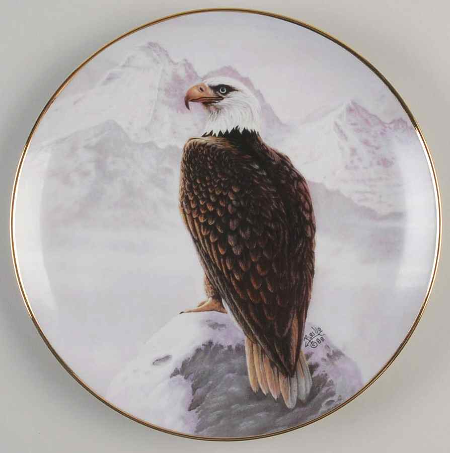North American Wildlife American Bald Eagle - Boxed by Artaffects-1