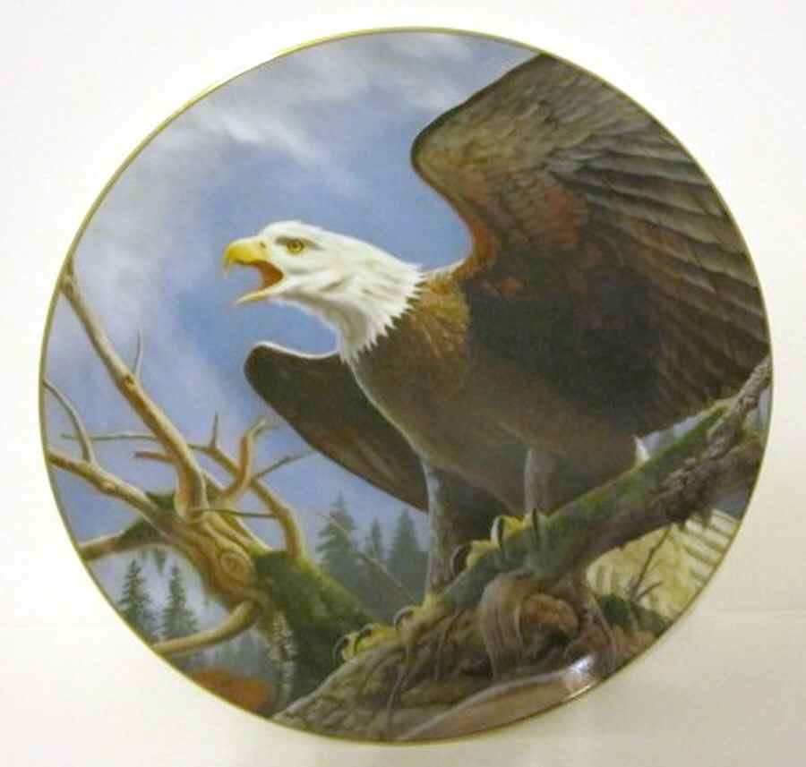 Prowler of The Cloud Bald Eagle - Boxed by Artists of The World-1