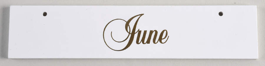 Calender Babies June Nameplate - No Box by Ashton Drake-1