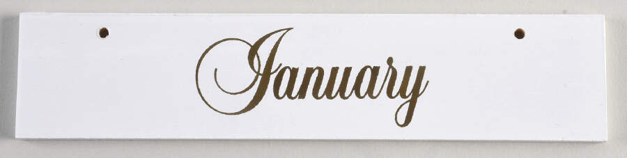 Calender Babies January Namplate - No Box by Ashton Drake-1