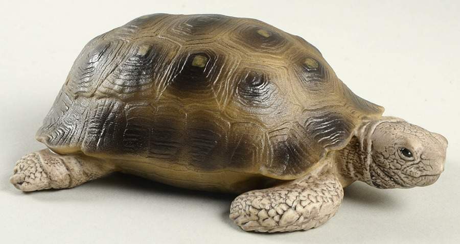 Aynsley Figurines Turtle - With Box by John  Aynsley & Sons-1