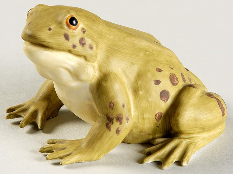 Aynsley Figurines Mr Frog - No Box by John  Aynsley & Sons-1