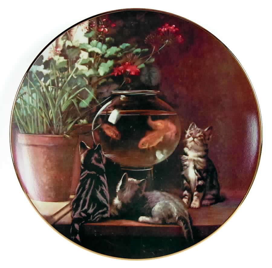Playful Pets Curiosty - No Box by Artaffects-1