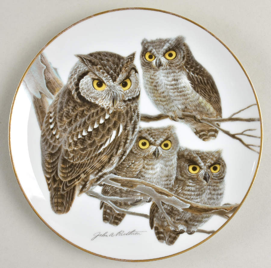 Moments of Nature Screech Owls - Boxed by Armstrong-1