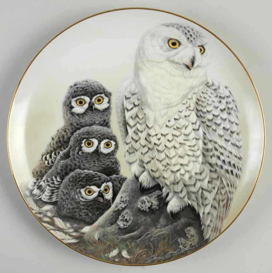 Moments of Nature Snowy Owl - Boxed by Armstrong-1